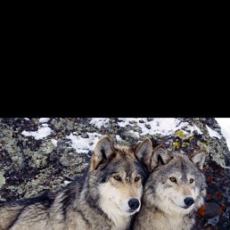 ���� A����, ������-��-����, 50 ��� - ��������� 30 ������� 2017