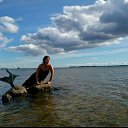  , -, 52  -  11  2017     