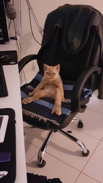 .