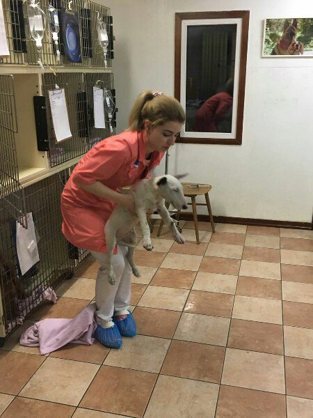  !     ? https://vk.com/wall-138557_297561  -    ... - 4