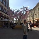 ���� �����, ������, 66 ��� - ��������� 1 ��� 2017 � ������ ������