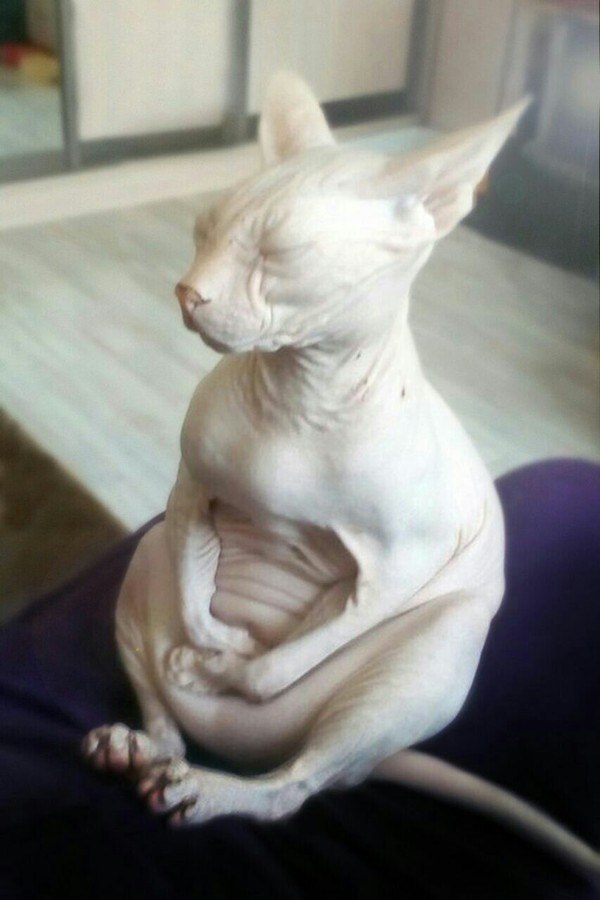   ,          
