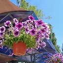  , , 60  -  30  2017   ,,, 2017