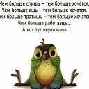 ���� �����, ������ - ��������� 23 ���� 2017 � ������ ������ ��������