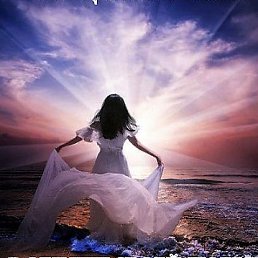 ���������, �����, 55 ���