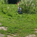 ���� �������, ������, 36 ��� - ��������� 25 ���� 2017 � ������ �������� �� ������ ������ (��������� - ������) (���� 2017)�