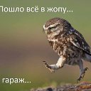 ���� ���100, ������������, 56 ��� - ��������� 20 ��� 2017 � ������ ������ ��������