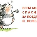 ���� ������, ������ - ��������� 9 ���� 2017 � ������ ���� ����������