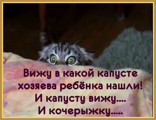 Comedy Club - 29  2017  07:16