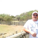 ���� ������, �������� - ��������� 13 ������ 2017 � ������ ���� ����������