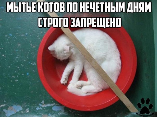    - 9  2017  11:20