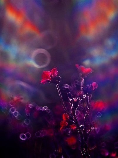Art & Fun - 22  2017  10:36 - 6