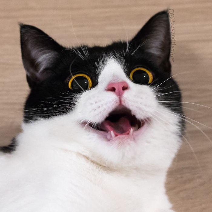         - 4
