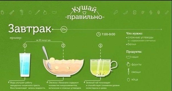 Обед ребенку в школу с собой — простые, вкусные и полезные рецепты с фото