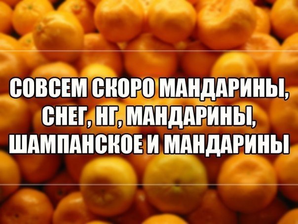    :D - 1  2017  08:01