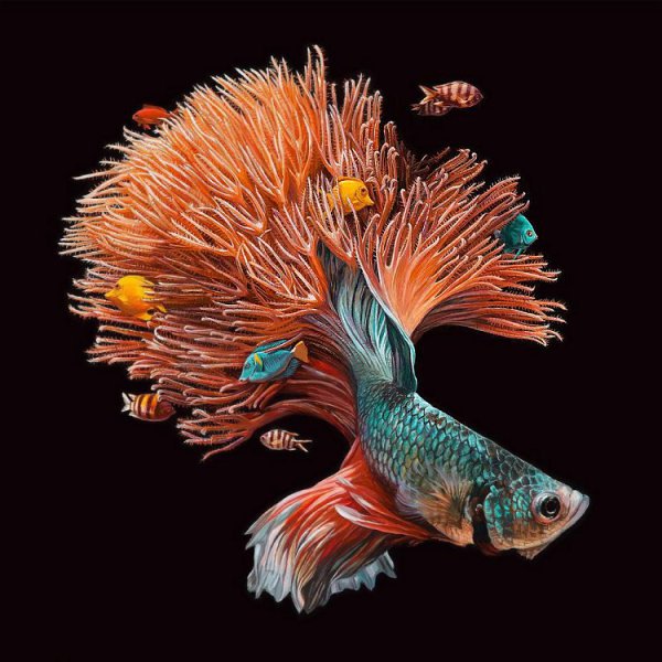   (Lisa Ericson)  ,   ,    ,  ... - 3