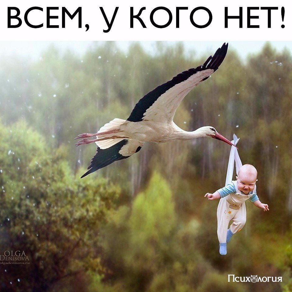  - 8  2017  08:05