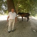 25.07.2017 �� ������� ���� ����������