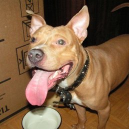 �����, �����������, 47 ���