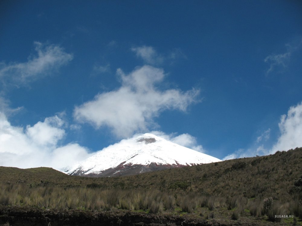 . (    , . Cotopaxi)     ...