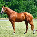 ���� ������, �����������, 75 ��� - ��������� 20 ���� 2017 � ������ ����Ȼ