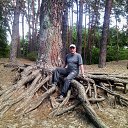  C, , 65  -  15  2017    