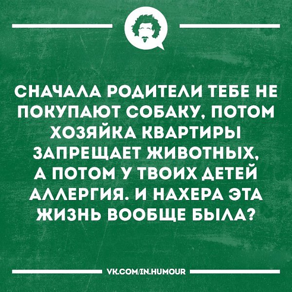   - 18  2017  17:38