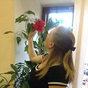 ���� ������, �����-��������� - ��������� 6 ������� 2017 � ������ ���� ����������