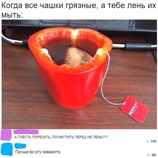   - 8  2017  05:04