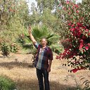 ���� ����, �����������, 59 ��� - ��������� 3 ���� 2017