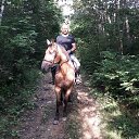 ���� �����, �����������, 47 ��� - ��������� 18 ���� 2017 � ������ ���� ����������