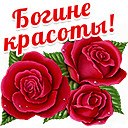 , , 66  -  14  2017   =