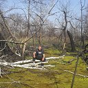 ���� ������, ������-��-����, 62 ���� - ��������� 23 ������ 2017 � ������ ���� ����������