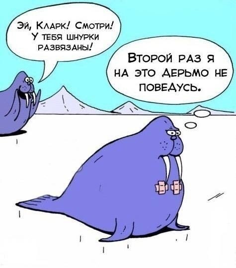    :D - 8  2017  05:00