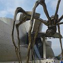 ���� A�������, ��������� - ��������� 9 ������ 2017 � ������ ���� ����������