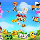 ���� ������, ����-���������, 51 ��� - ��������� 6 ��� 2017 � ������ �������� �������-�������