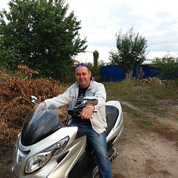 �����, �������, 46 ���