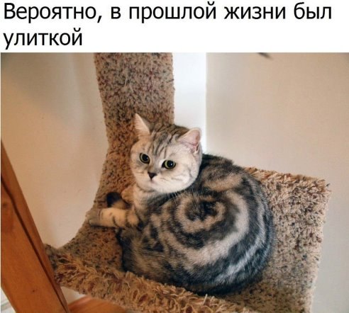 ��� ������ ��� - 17 ��� 2017 � 07:33