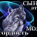 ���� ����, ���������� - ��������� 27 �������� 2017 � ������ ���� ����������