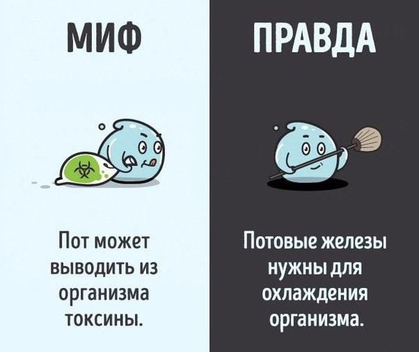 10    ,   . #@rules4life - 6