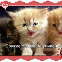 ���� ������, ������������ - ��������� 31 ���� 2017 � ������ ������