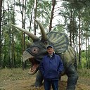 ���� ����, ��������, 62 ���� - ��������� 3 ������� 2017 � ������ ����� ����