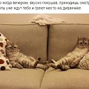 ���� �������, ������������, 55 ��� - ��������� 6 ���� 2017 � ������ ������ ��������