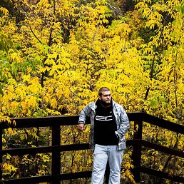 ����, ����������