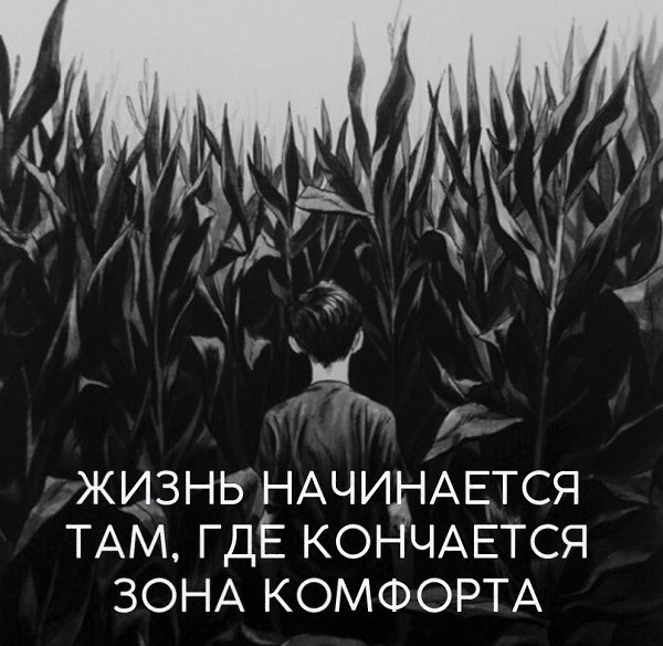   - 13  2017  22:09