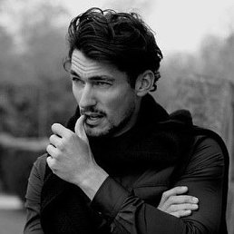 �������, ���������, 51 ���