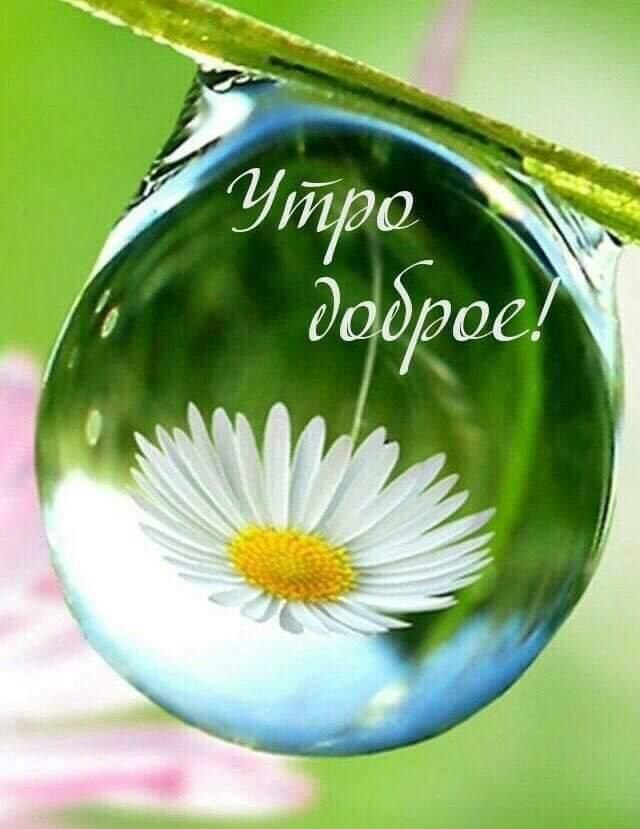 Как часто вы просыпаетесь и благодарите судьбу за возможность прожить еще один день? Люди открывают ...