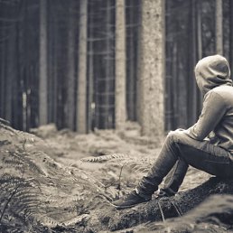 ���������, ������, 39 ���