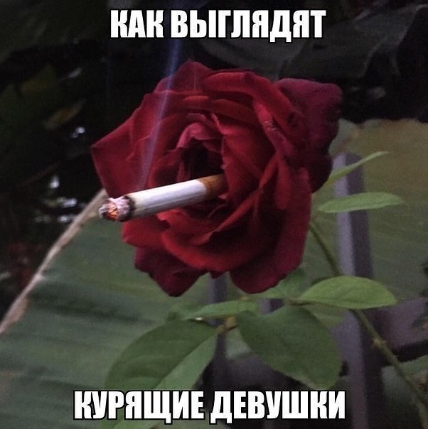   -! - 5