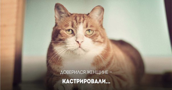 )))